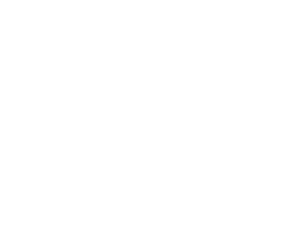 BE-BLAC Foundation logo - Black Leaders Action Council